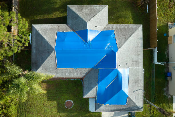 Best Skylight Installation and Repair  in Forsyth, MO